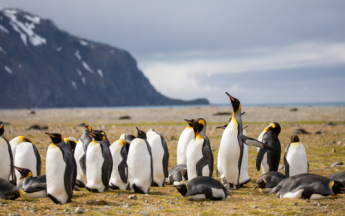 La péninsule antarctique fait partie des régions du monde où le réchauffement est le plus rapide.