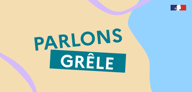 Miniature bulletin dailymotion