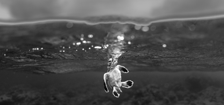  Théo Guillaume / L’œil du climat / Météo-France