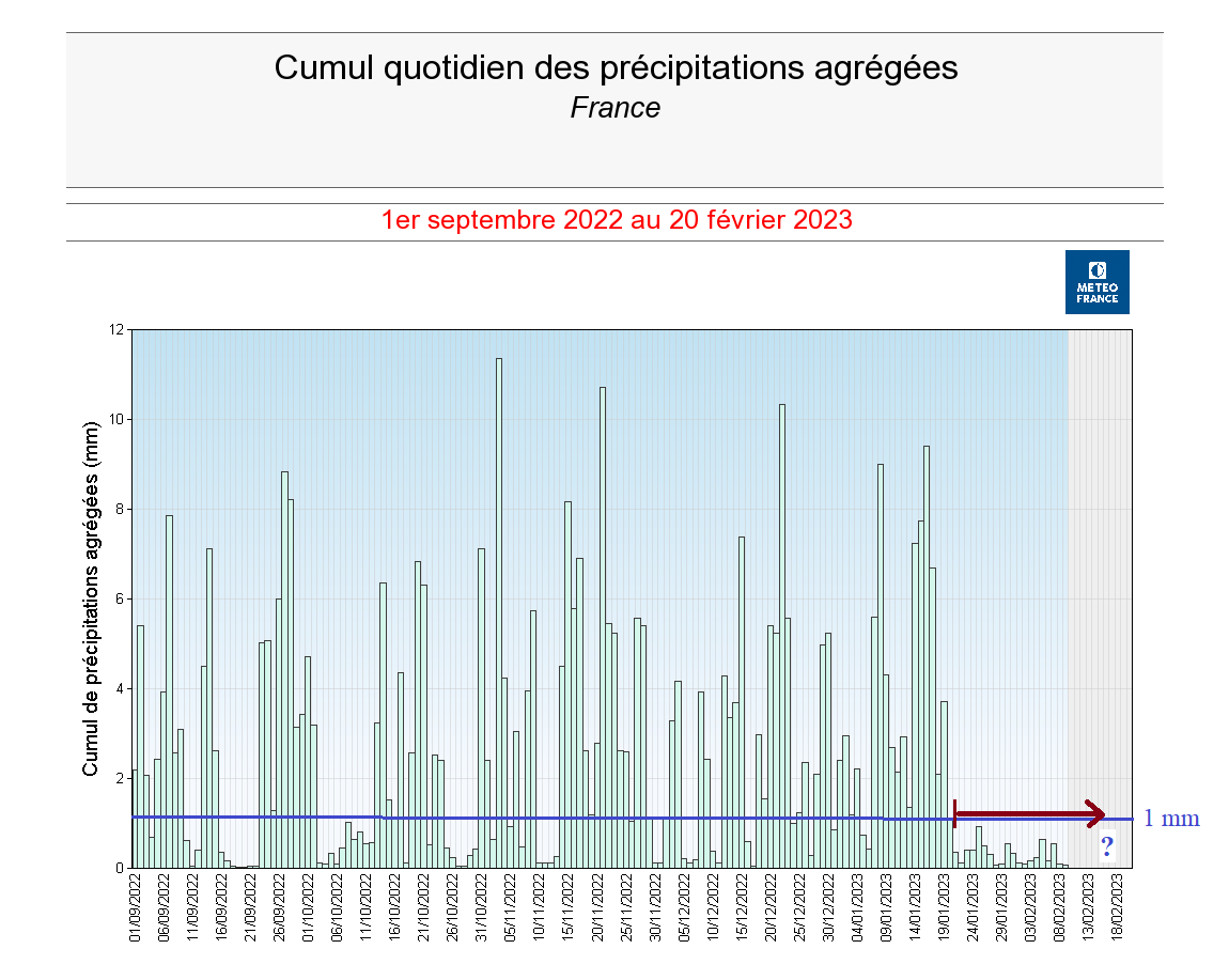 Cumul quotidien des précipitations