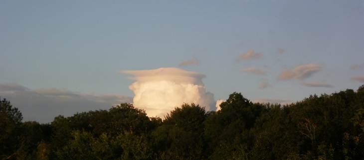 Forme de chou-fleur du cumulus