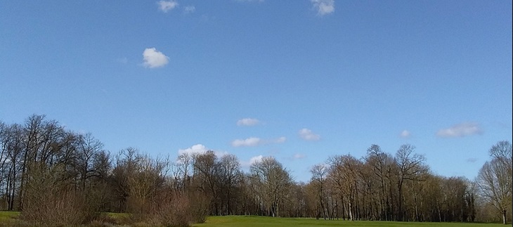 Cumulus humilis