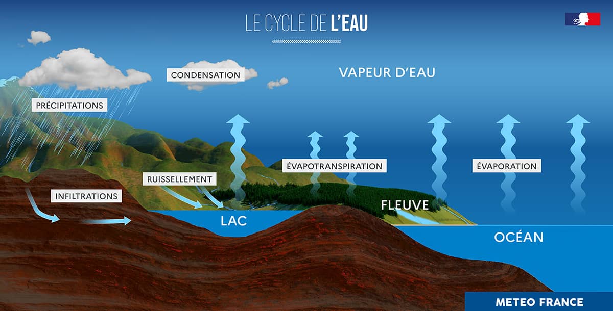 Cycle de l'eau