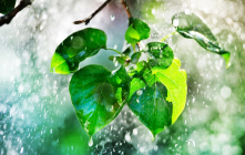 Tout savoir sur les précipitations liquides.