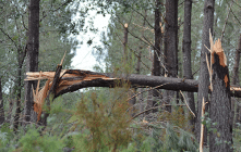 Il se produit en moyenne quelques dizaines de tornades en France métropolitaine