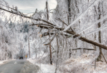 La Vigilance météorologique : 20 ans d’évolutions continues