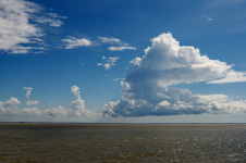 Cumulus congestus