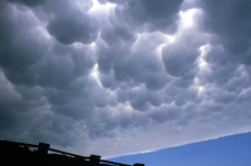 Mammas © Association des Amis du Mont-Aigoual