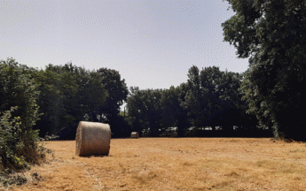 Retour sur l'épisode de chaleur exceptionnel.