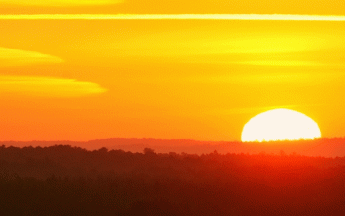 Quelques brumes matinales très vite évaporées avant que la chaleur ne s'installe (Maine et Loire).