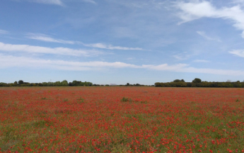 Un mois d'avril printanier.