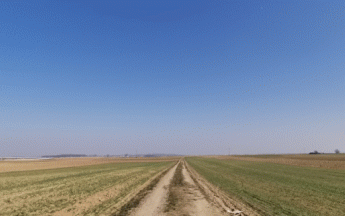 Grand ciel bleu hier en Alsace.