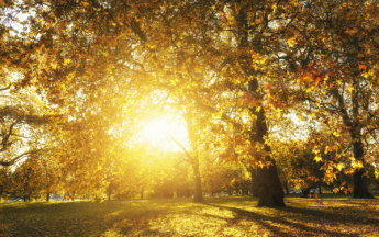 La France connaît cette semaine une douceur remarquable pour la saison.