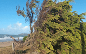 La trajectoire, la chronologie et l'intensité des tempêtes ont été conformes aux prévisions établies par Météo-France. 