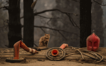 Une nouvelle vague de chaleur propice aux feux de forêt sévit en Californie.