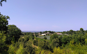 Vague de chaleur du 8 au 18 août 2025 : retour sur un épisode exceptionnel 