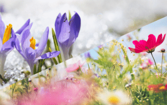 Les températures peuvent varier brusquement au printemps ! Pourquoi ?