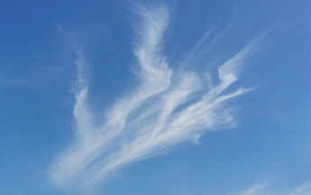 Cirrus fibratus.