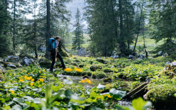 Un été assez maussade.