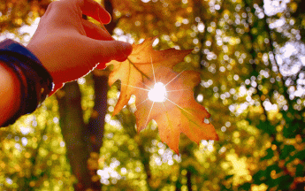 Douceur en octobre en Europe