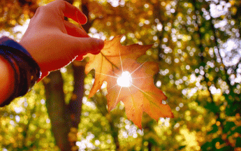 Image d'illustration.