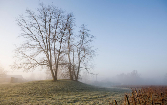 Illustration hiver doux