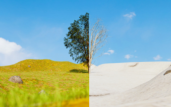 Un hiver de contraste entre neige et douceur