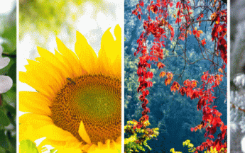 2021, année de contraste.