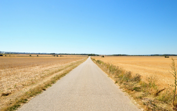 Sécheresse, plaine - France