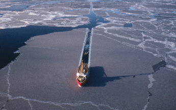 Les glaces de mer ont moins disparu cette année, mais la situation reste préoccupante.