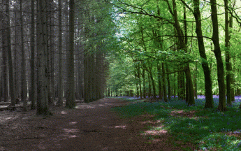 Un début de printemps très contrasté