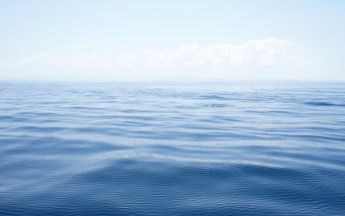 L’observation en mer.