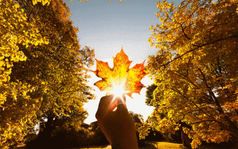 Illustration chaleur en septembre - © Getty Images