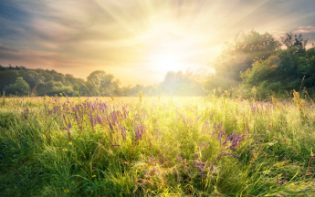 Paysage de printemps.