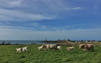 Temps souvent sec et ensoleillé en mars, surtout sur l'Ouest comme ici à Goury (50)