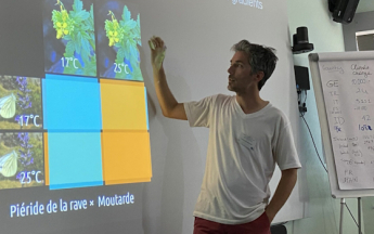 Partenariat avec l’Office for Climate Education (OCE).