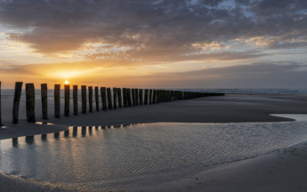 Le courant de sud-ouest généré par la dépression Bert, au nord des Îles Britanniques, a apporté une douceur remarquable parfois exceptionnelle aussi tard dans la saison. 