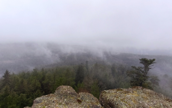 Le temps reste agité cette semaine, avec une succession d'épisodes pluvieux.