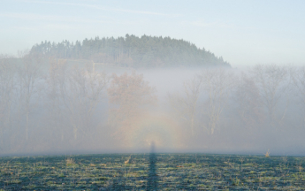 Grisailles et brouillards parfois givrants en matinée.