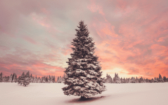 Un Noël bien doux, mais quel est le Noël le plus froid ? Le plus chaud ? Retour sur des jours de Noël mémorables.