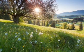 Paysage de printemps.