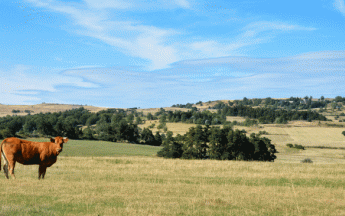 Sécheresse : presque aucune pluie depuis le début du mois