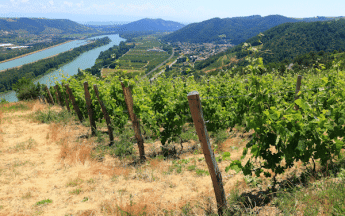 Une vague de chaleur exceptionnelle par sa durée en début d'été