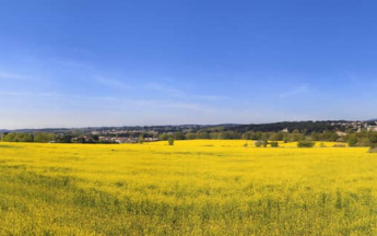 Bilan du printemps 2025