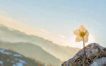 2021 s'achève dans une douceur exceptionnelle