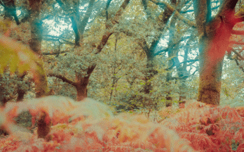 Octobre 2020, 1er mois plus frais que la normale depuis mai 2019