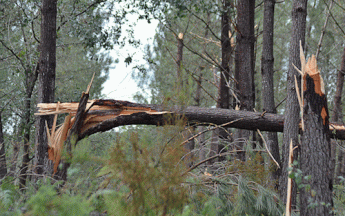 Il se produit en moyenne quelques dizaines de tornades en France métropolitaine