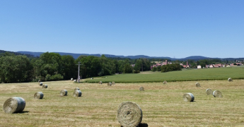 Températures : seuils de 25 °C et 30 °C, synonymes de chaleur