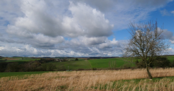 Quelle différence entre météo et climat ?