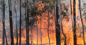 Météo-France en appui à la lutte contre les feux de forêts